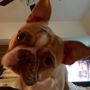 Meet your Posher, Jason